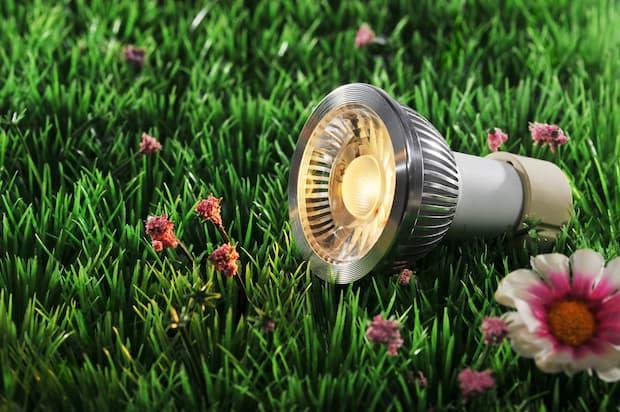 lampadina Led e giardino