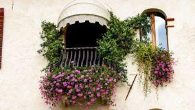 Sistemi di irrigazione a goccia per balconi e terrazzi