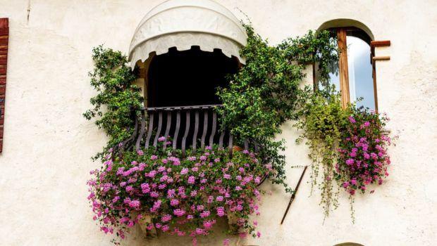 Come irrigare con il sistema a goccia su balconi e terrazzi