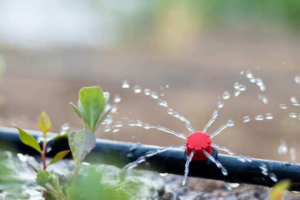 irrigatore a goccia