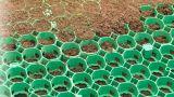 Come proteggere il verde con le griglie salvaprato carrabili
