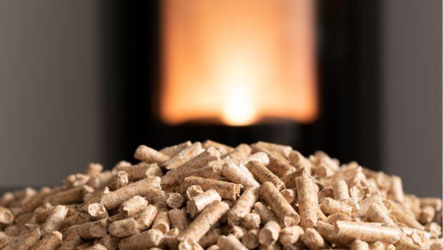 Come scegliere tra stufa a pellet e termostufa: pro e contro a confronto