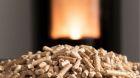 Img Stufa a pellet o termostufa a pellet: quale scegliere