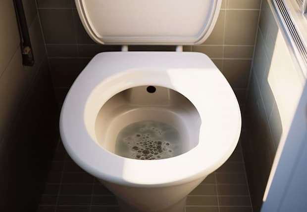 Evitamento gorgoglii 