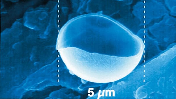 Phase Change Material (PCM) quale accumulatore di calore latente