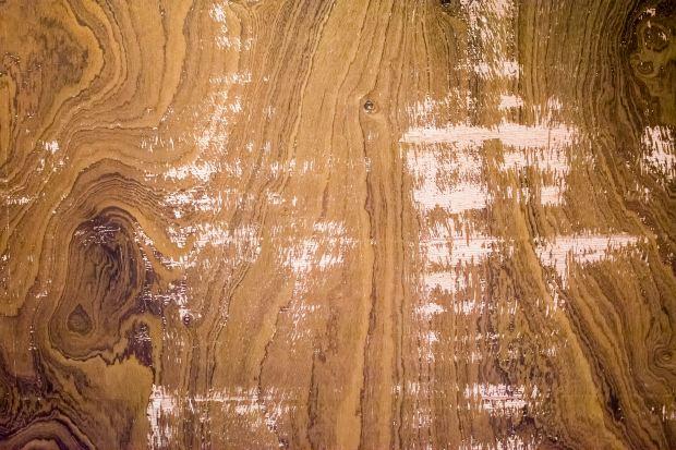 Legno con strato di vernice protettiva