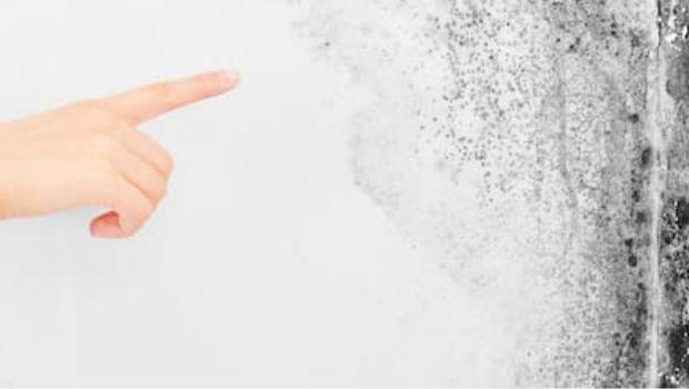 Umidità e muffa invernale: prevenzione e rimedi efficaci per risolvere il problema