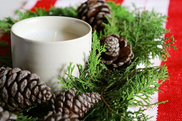 Tavola di Natale e ospiti: come sistemarli