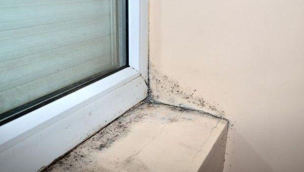 Cause della muffa invernale e come prevenirla in casa