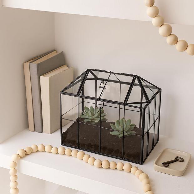 Mini serra per piante grasse