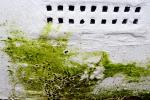 Parente con infliltrazione - Foto Getty Images