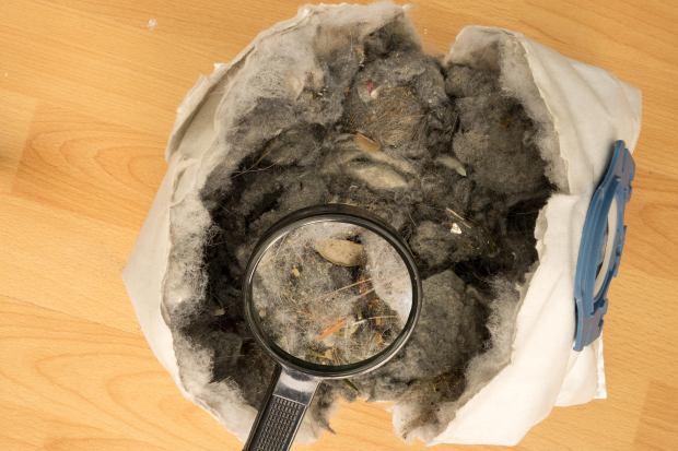 Sacchetto polvere di un aspirapolvere 