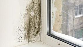 Zone pi&ugrave; umide della casa: perch&eacute; si formano e come individuarle