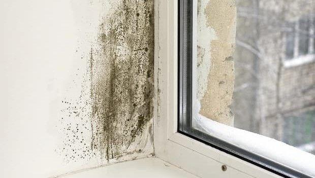 Zone pi&ugrave; umide in casa: come individuarle