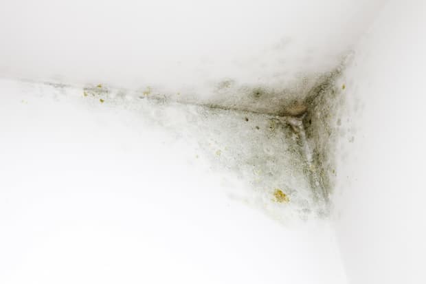 I ponti termici attraggono umidit&agrave; - foto Getty Images