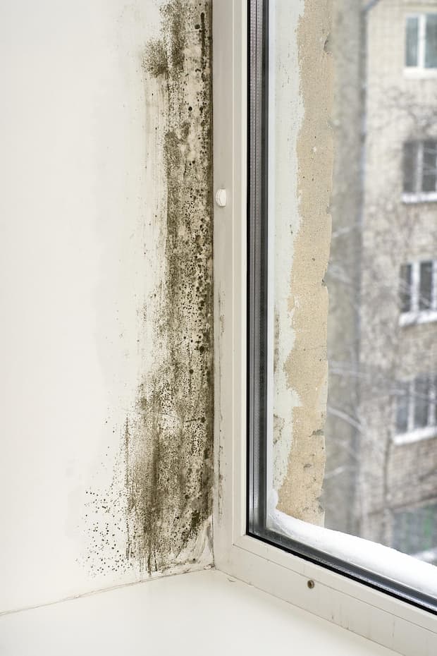 Le finestre sono tra i punti critici per l'umidit&agrave; - foto Getty Images