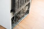 La polvere dietro il frigo pu&ograve; aumentarne i consumi - Foto Immagine rielaborata a partire da contenuto Getty Images.