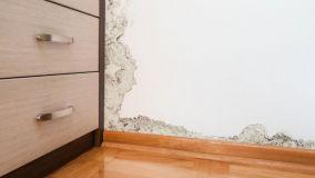 Muffa dietro armadi e divani: perch&eacute; compare in inverno e come prevenirla