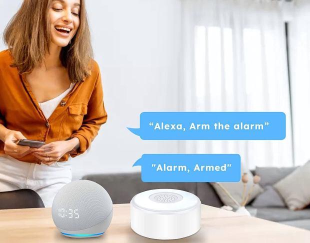 Allarme compatibile con assistente vocale 