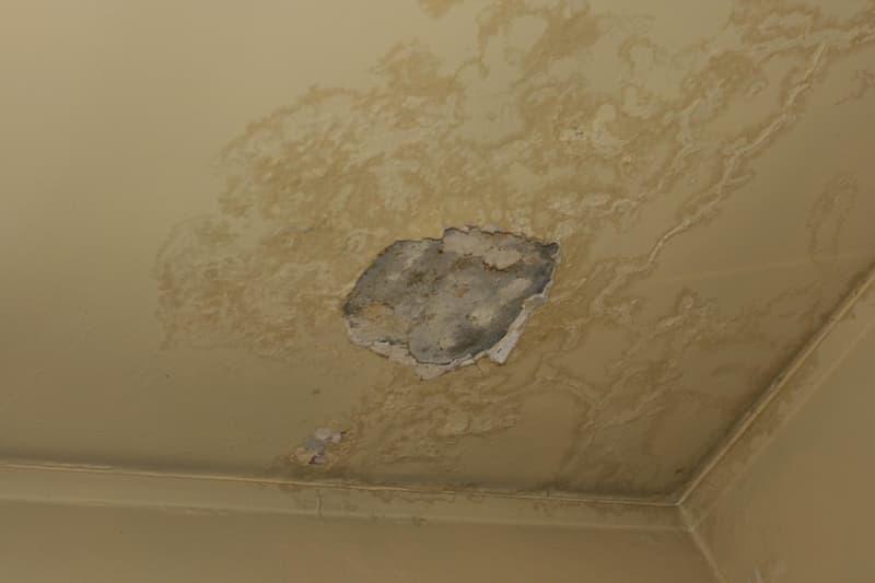 Macchie gialle sul soffitto: quando si tratta di condensa e quando di perdite