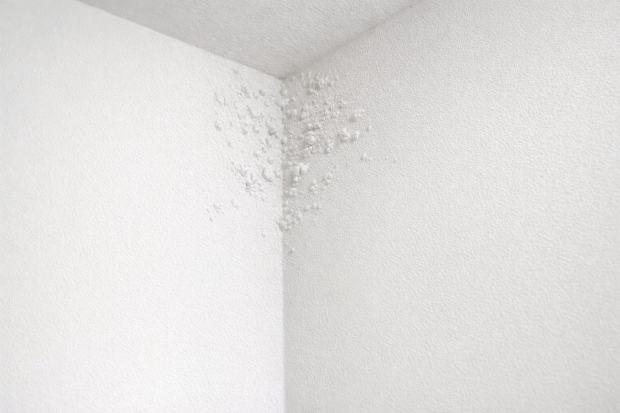 Bolle sulla pittura in un angolo della stanza