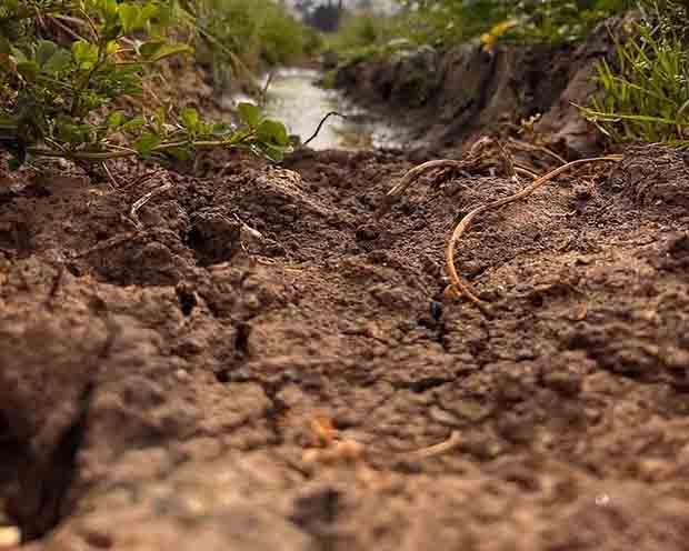 I terreni argillosi sono vulnerabili ai cedimenti differenziali. Foto Pixabay