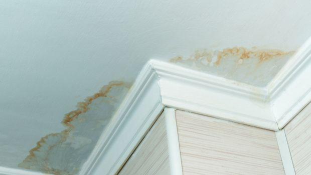 Da cosa dipendono le macchie sul soffitto