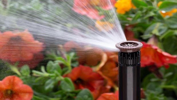 Ugelli dell'irrigazione automatica ostruiti: come risolvere senza smontare mezzo impianto