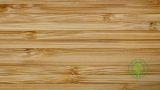 Parquet in bamboo: caratteristiche, vantaggi e limiti di un pavimento sempre pi&ugrave; diffuso