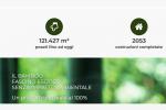 L'esperienza di pavibamboo - Sito istituzionale