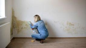 Eliminare l'umidit&agrave; in casa: strategie pratiche per risolvere muffa e condensa in modo definitivo