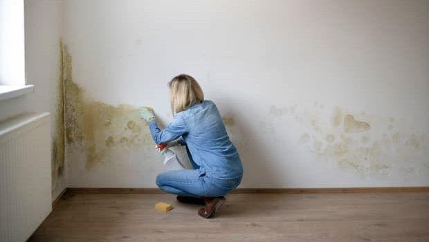 Eliminare l'umidit&agrave; in casa: strategie pratiche per risolvere muffa e condensa in modo definitivo