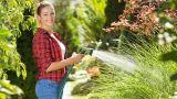 Prato che si secca a chiazze: errori tipici delle prime irrigazioni primaverili