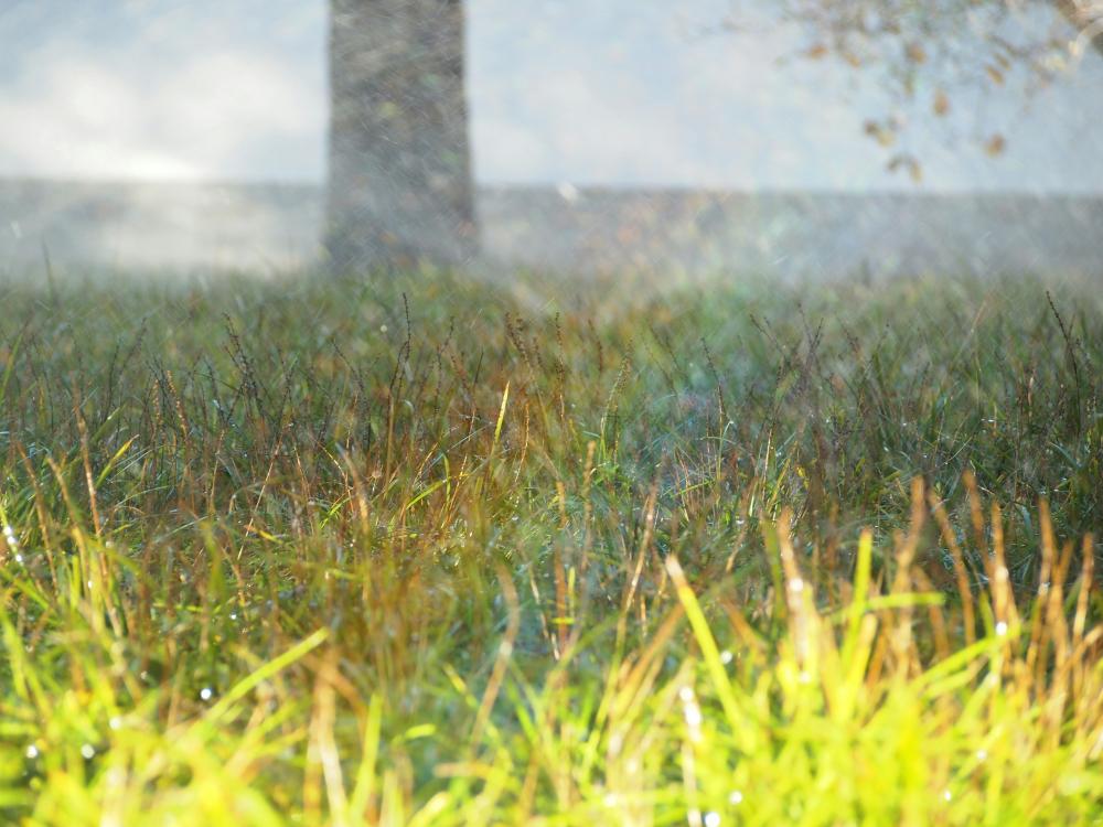 Irrigazione giardino - unsplash