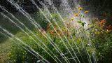 Irrigazione automatica che rovina il giardino: errori di programmazione e impianti non calibrati