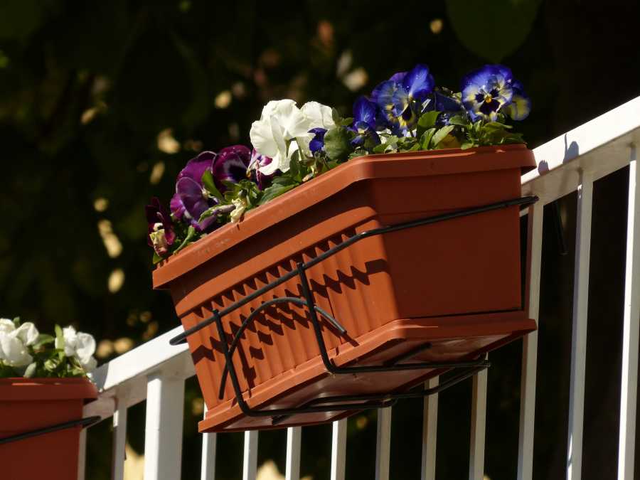 Vaso con fiori colorati su ringhiera di balcone esposto al sole