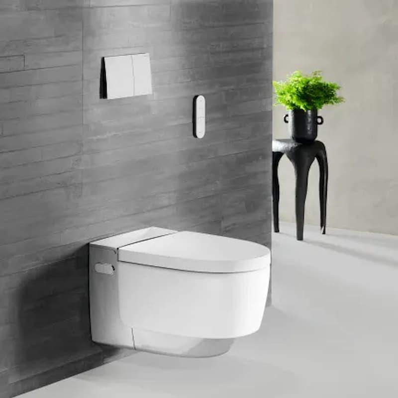 Acqua e umidità: il vero richiamo per le formiche in casa
