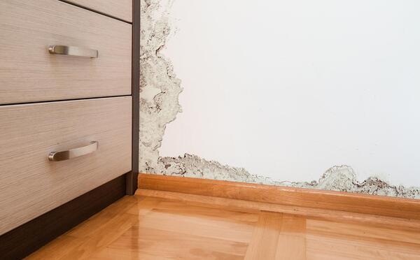 Trattamento in olio su parquet
