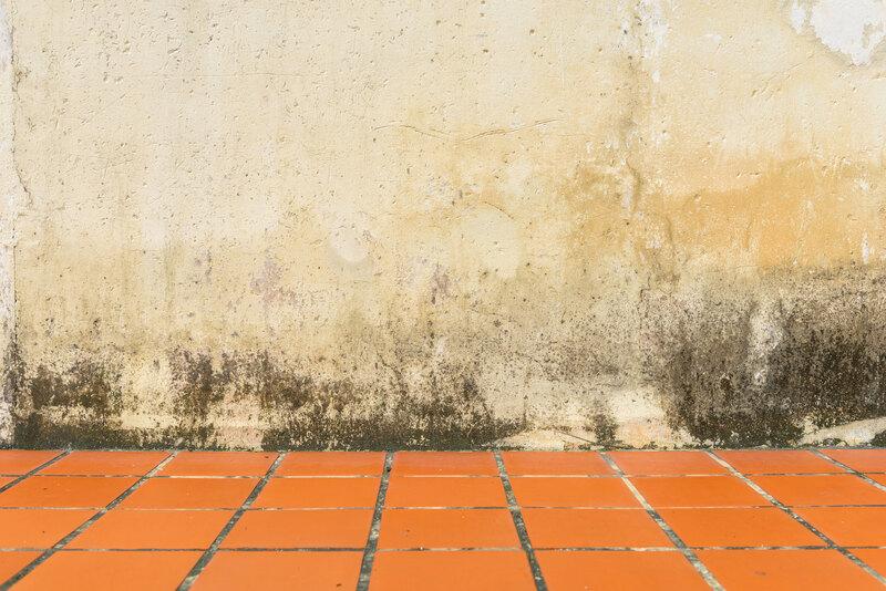 Umidit&agrave; su parete