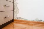 Olio su parquet