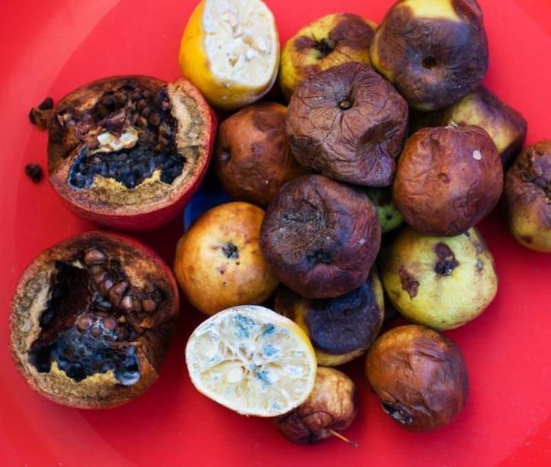 Perché la frutta matura troppo presto