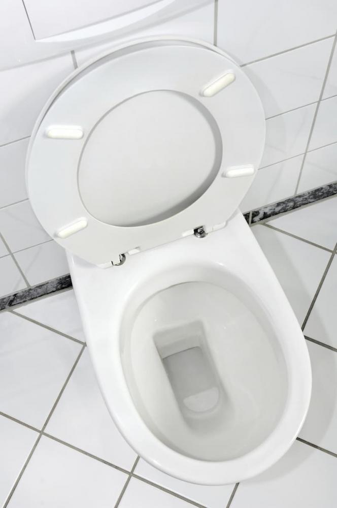 Wc che fatica a scaricare anche quando il vaso è libero - foto getty images