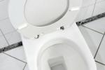 Wc che fatica a scaricare anche quando il vaso è libero - foto getty images