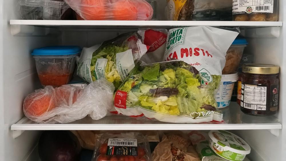 Un frigo troppo pieno potrebbe sforzarsi - Foto Daniele F. Toscana