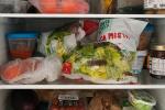Un frigo troppo pieno potrebbe sforzarsi - Foto Daniele F. Toscana
