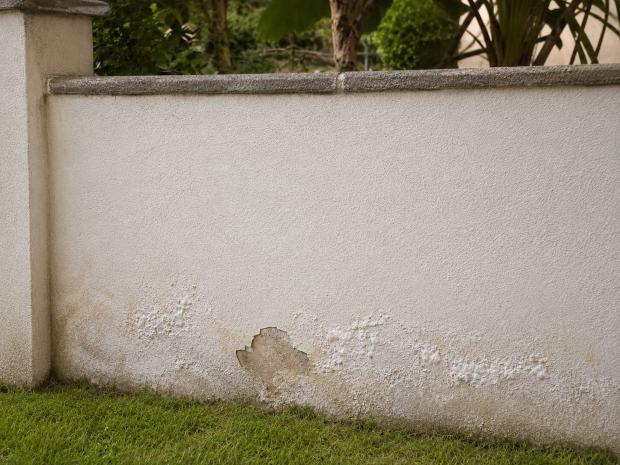 Muretto con segni di umidit&agrave; di risalita