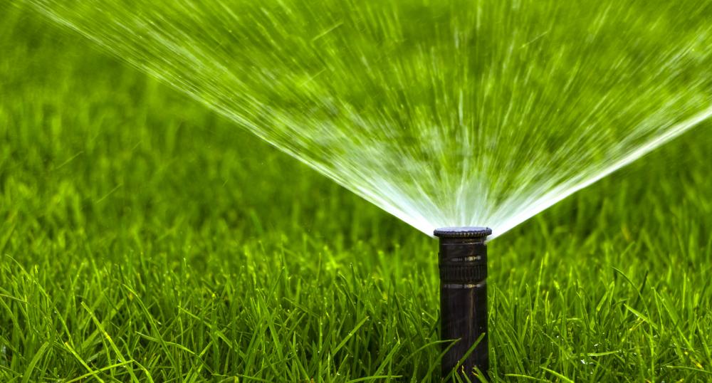 Irrigatore automatico - Foto Getty Images