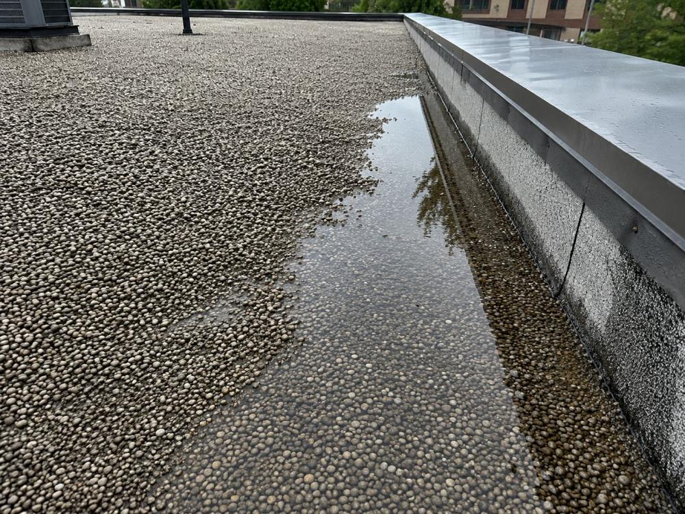 Accumulo di acqua vicino al parapeetto - Foto Daniele F. Toscana