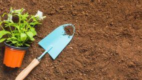 Attrezzi per orto e giardino: guida alla scelta per i lavori stagionali