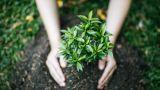 Prodotti naturali per orto e giardino: concimi, corroboranti e trattamenti